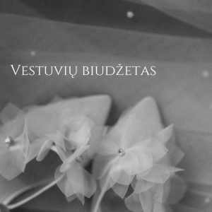 Elektroninė knyga - vestuvių biudžetas