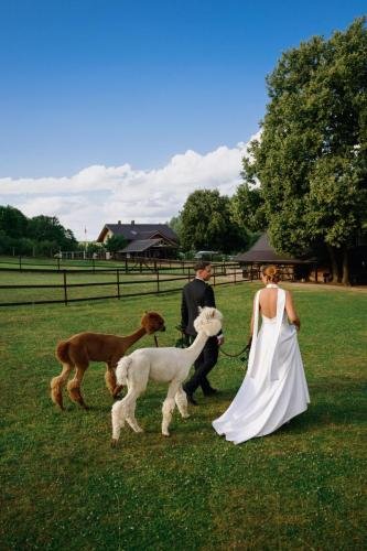 Nuotr. aut. Martynas Stankaitis