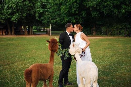 Nuotr. aut. Martynas Stankaitis